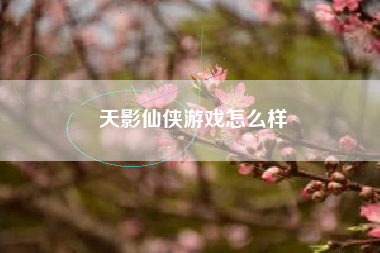 天影仙侠游戏怎么样
