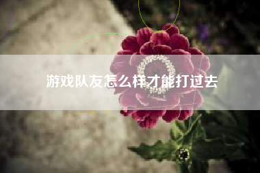 游戏队友怎么样才能打过去