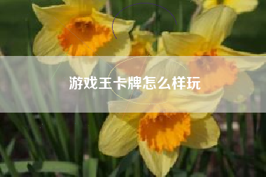 游戏王卡牌怎么样玩
