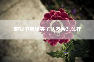 游戏中遇见夹子队友会怎么样