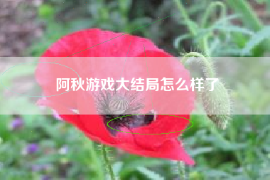 阿秋游戏大结局怎么样了