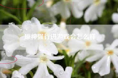 原神强行进游戏会怎么样