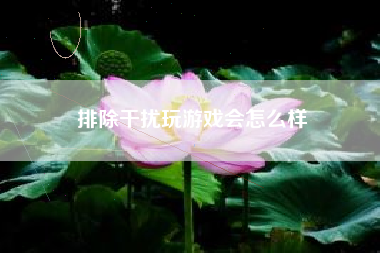 排除干扰玩游戏会怎么样