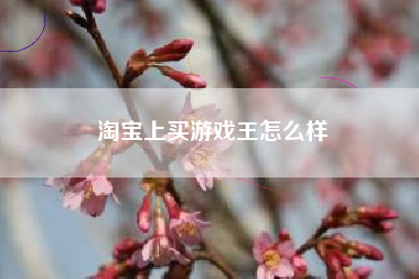 淘宝上买游戏王怎么样