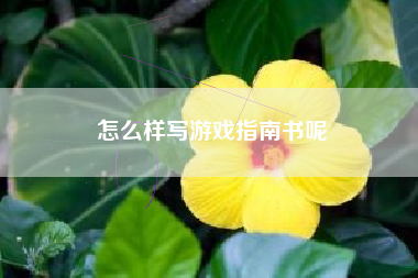 怎么样写游戏指南书呢