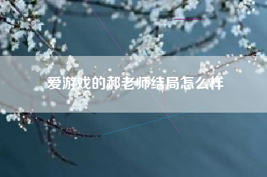 爱游戏的郝老师结局怎么样