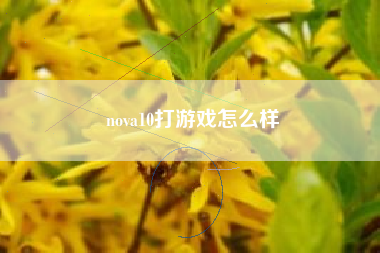 nova10打游戏怎么样