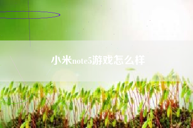 小米note5游戏怎么样