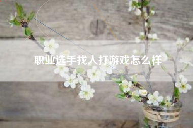 职业选手找人打游戏怎么样
