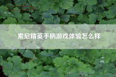 索尼精英手柄游戏体验怎么样