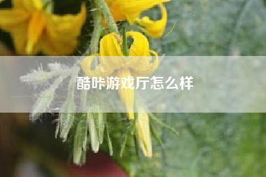 酷咔游戏厅怎么样