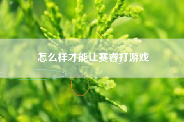 怎么样才能让赛睿打游戏