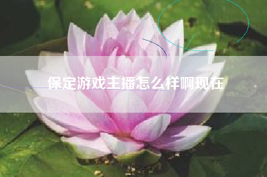 保定游戏主播怎么样啊现在