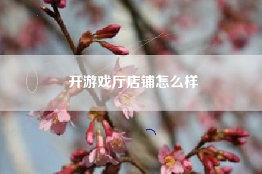 开游戏厅店铺怎么样