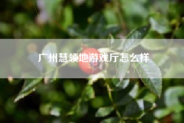 广州慧领地游戏厅怎么样