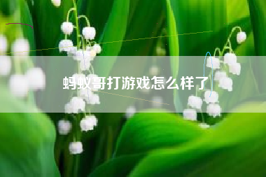 蚂蚁哥打游戏怎么样了