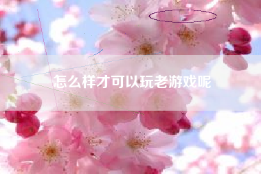 怎么样才可以玩老游戏呢