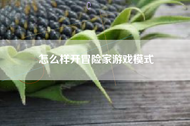 怎么样开冒险家游戏模式