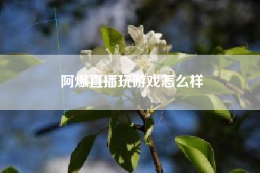 阿爆直播玩游戏怎么样
