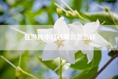 在游戏中打苍蝇会怎么样