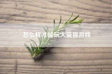 怎么样才能玩大蓝猫游戏