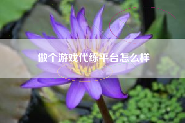 做个游戏代练平台怎么样
