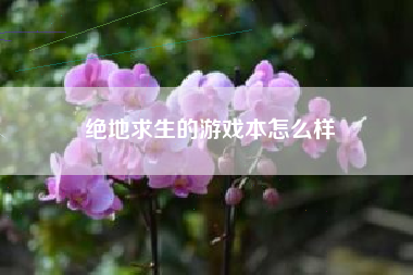绝地求生的游戏本怎么样