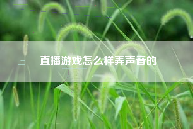 直播游戏怎么样弄声音的