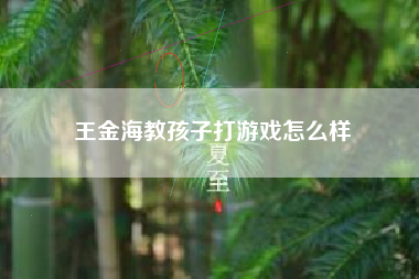 王金海教孩子打游戏怎么样