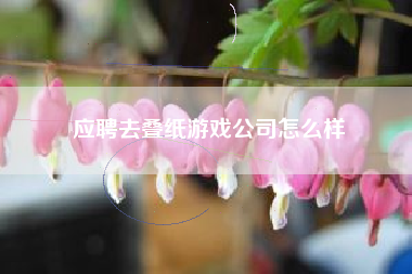 应聘去叠纸游戏公司怎么样