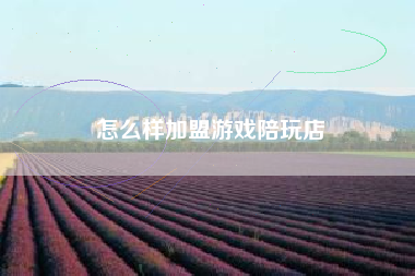 怎么样加盟游戏陪玩店