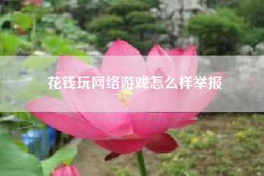 花钱玩网络游戏怎么样举报