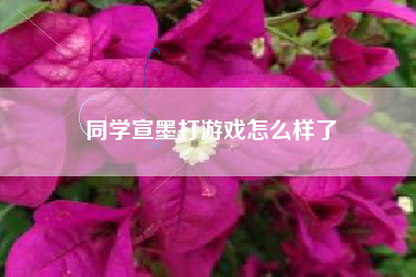 同学宣墨打游戏怎么样了