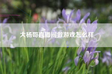 大杨哥直播间做游戏怎么样
