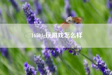 16504g玩游戏怎么样