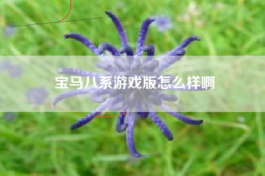 宝马八系游戏版怎么样啊