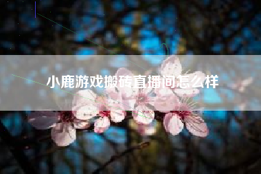 小鹿游戏搬砖直播间怎么样