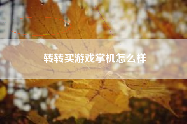 转转买游戏掌机怎么样