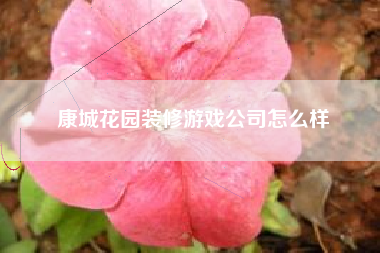 康城花园装修游戏公司怎么样