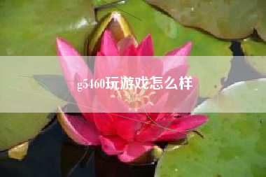 g5460玩游戏怎么样