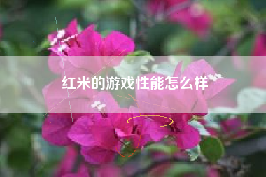 红米的游戏性能怎么样