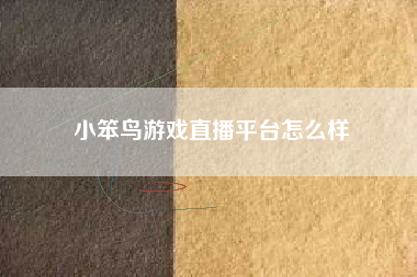 小笨鸟游戏直播平台怎么样