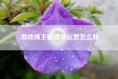 游戏博主新媒体运营怎么样