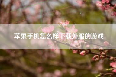 苹果手机怎么样下载外服的游戏