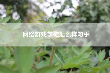 网络游戏学徒怎么样知乎