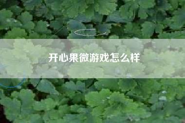 开心果微游戏怎么样