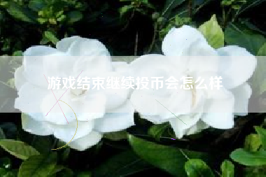 游戏结束继续投币会怎么样