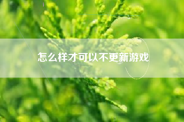 怎么样才可以不更新游戏