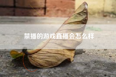 禁播的游戏直播会怎么样