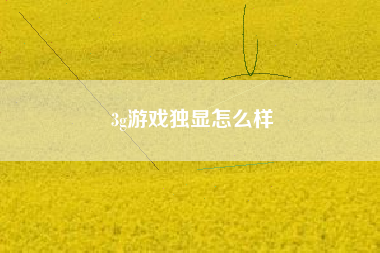 3g游戏独显怎么样